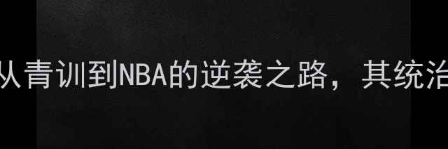 图片 内线球员布莱克：从青训到NBA的逆袭之路，其统治级内线的养成秘籍