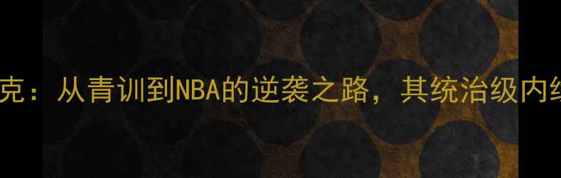 图片 内线球员布莱克：从青训到NBA的逆袭之路，其统治级内线的养成秘籍2
