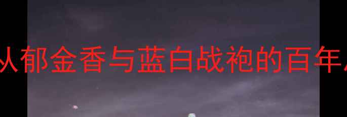 图片 冰岛vs荷兰历史对决：从郁金香与蓝白战袍的百年恩怨看足球文明的碰撞1