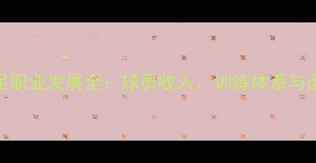 图片 冰岛男足职业发展全：球员收入、训练体系与退役规划