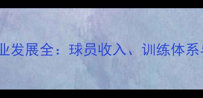 图片 冰岛男足职业发展全：球员收入、训练体系与退役规划2