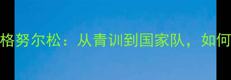 图片 冰岛队核心球员埃林·格努尔松：从青训到国家队，如何成为足坛现象级人物？