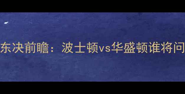 图片 凯尔特人VS奇才5月3日东决前瞻：波士顿vs华盛顿谁将问鼎？深度两队争冠关键