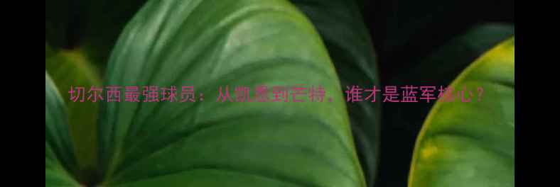 图片 切尔西最强球员：从凯恩到芒特，谁才是蓝军核心？