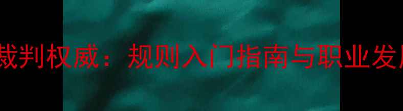 图片 刘云羽毛球裁判权威：规则入门指南与职业发展实战技巧1