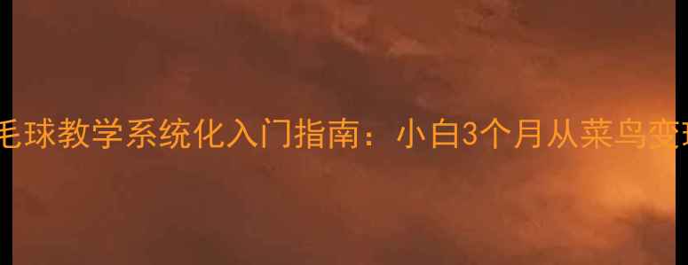 图片 刘瑞豪羽毛球教学系统化入门指南：小白3个月从菜鸟变球场王者1