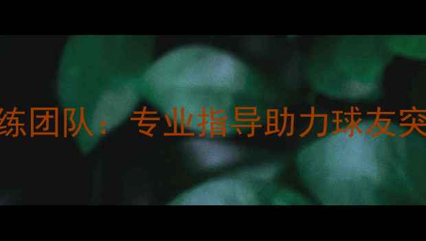 图片 加拿大顶尖乒乓球陪练团队：专业指导助力球友突破瓶颈提升竞技水平