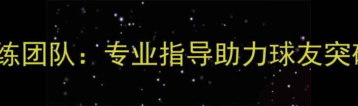 图片 加拿大顶尖乒乓球陪练团队：专业指导助力球友突破瓶颈提升竞技水平1