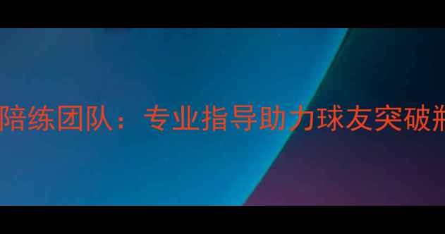 图片 加拿大顶尖乒乓球陪练团队：专业指导助力球友突破瓶颈提升竞技水平2