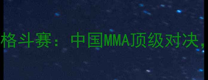 图片 勇士的荣耀国际格斗赛：中国MMA顶级对决，拳腿膝肘全面2