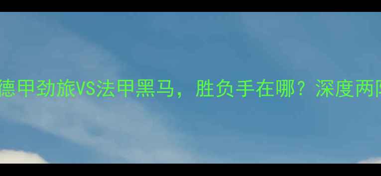 图片 勒沃库森vs第戎：德甲劲旅VS法甲黑马，胜负手在哪？深度两队战术与历史交锋2
