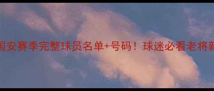 图片 北京国安赛季完整球员名单+号码！球迷必看老将新秀全