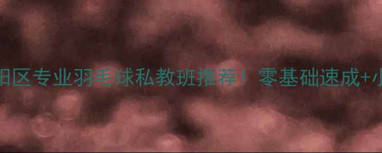 图片 北京朝阳羽毛球培训朝阳区专业羽毛球私教班推荐！零基础速成+小班教学+全年班型可选2