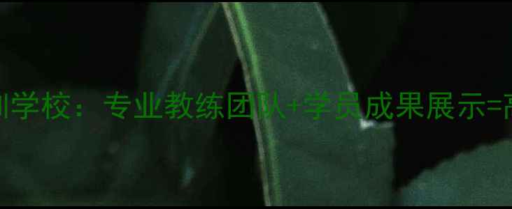 图片 北京雄风乒乓球培训学校：专业教练团队+学员成果展示=高效提升乒乓球技能