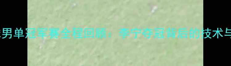 图片 十三全运会羽毛球男单冠军赛全程回顾：李宁夺冠背后的技术与赛事亮点全记录2