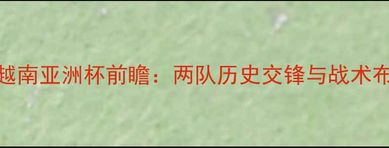 图片 印尼VS越南亚洲杯前瞻：两队历史交锋与战术布局深度