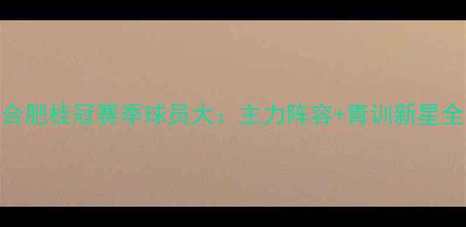 图片 合肥桂冠赛季球员大：主力阵容+青训新星全