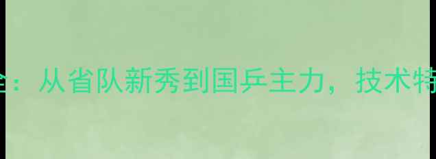 图片 吴迪乒乓球职业生涯全：从省队新秀到国乒主力，技术特点与训练方法大公开1