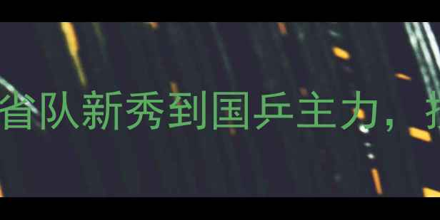 图片 吴迪乒乓球职业生涯全：从省队新秀到国乒主力，技术特点与训练方法大公开2