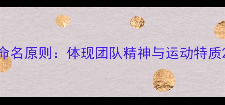 图片 命名原则：体现团队精神与运动特质2