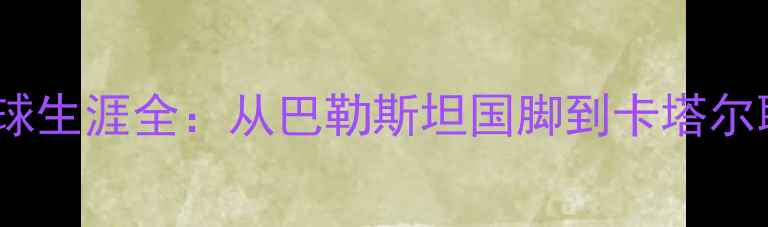 图片 哈姆达拉球员职业足球生涯全：从巴勒斯坦国脚到卡塔尔联赛顶流的逆袭之路2