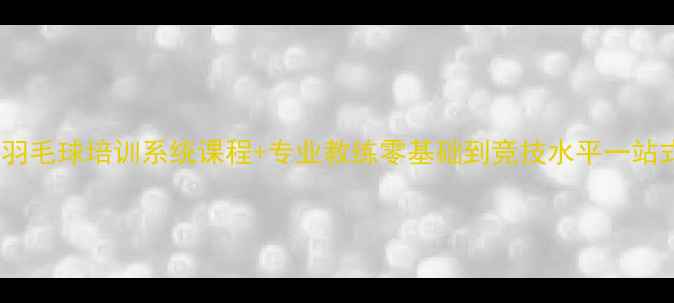 图片 哈尔滨羽毛球培训系统课程+专业教练零基础到竞技水平一站式提升1