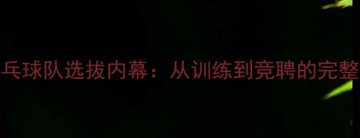 图片 国家乒乓球队选拔内幕：从训练到竞聘的完整流程🏆