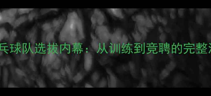 图片 国家乒乓球队选拔内幕：从训练到竞聘的完整流程🏆2