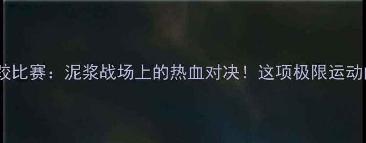 图片 国际泥浆摔跤比赛：泥浆战场上的热血对决！这项极限运动的背后故事2