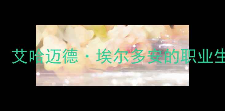 图片 土耳其留洋球员加盟拜仁：艾哈迈德·埃尔多安的职业生涯与中国足球归化新动向