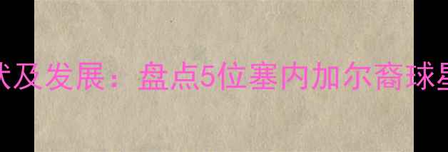 图片 塞内加尔籍NBA球员现状及发展：盘点5位塞内加尔裔球星，非洲篮球崛起趋势2