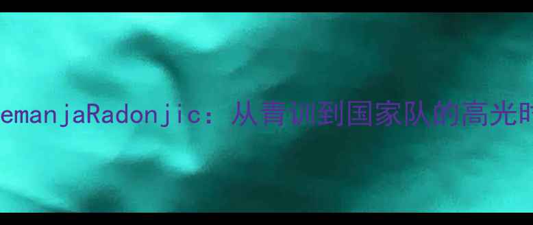图片 塞尔维亚13号球员NemanjaRadonjic：从青训到国家队的高光时刻全！未来可期？
