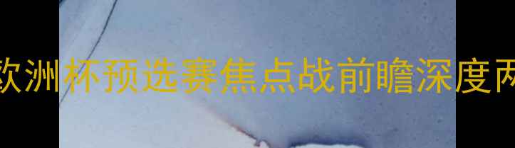图片 塞尔维亚vs瑞士：欧洲杯预选赛焦点战前瞻深度两队战术与争胜关键