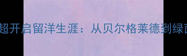 图片 塞尔维亚国脚在中超开启留洋生涯：从贝尔格莱德到绿茵江湖的逆袭之路2