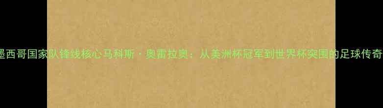 图片 墨西哥国家队锋线核心马科斯·奥雷拉奥：从美洲杯冠军到世界杯突围的足球传奇1