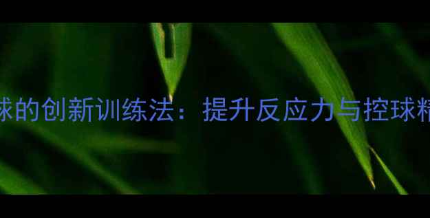 图片 壁球拍击打羽毛球的创新训练法：提升反应力与控球精准度的科学攻略