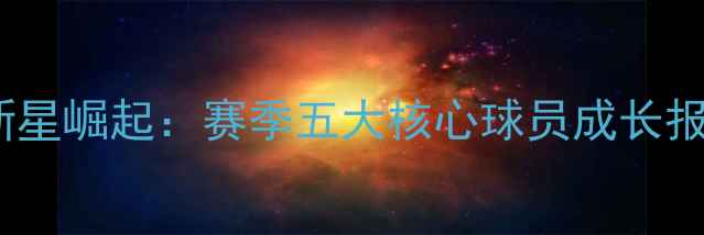 图片 多特蒙德20岁新星崛起：赛季五大核心球员成长报告及青训体系1