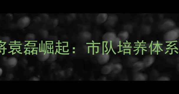 图片 大庆市乒乓球小将袁磊崛起：市队培养体系与省赛夺冠之路2