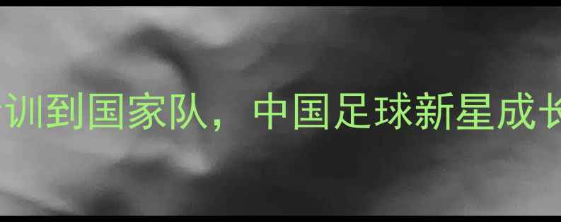 图片 大连球员赵旭日：从青训到国家队，中国足球新星成长之路！足坛新星追踪2