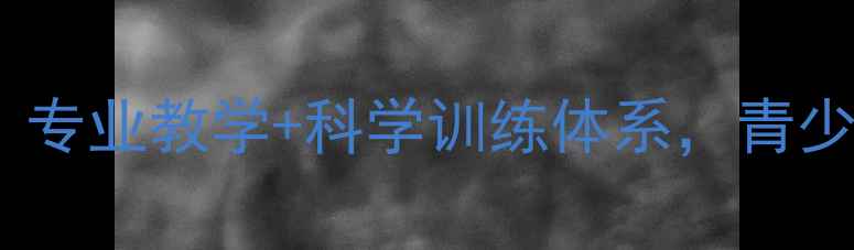 图片 天津羽毛球温教练：专业教学+科学训练体系，青少年及成人学员首选2