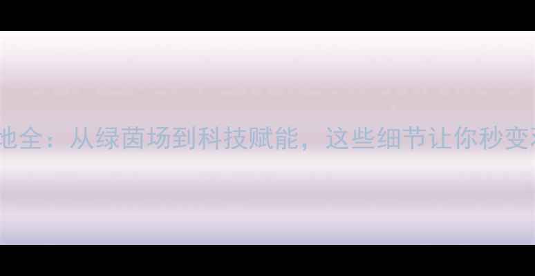 图片 女足比赛场地全：从绿茵场到科技赋能，这些细节让你秒变观赛达人！1
