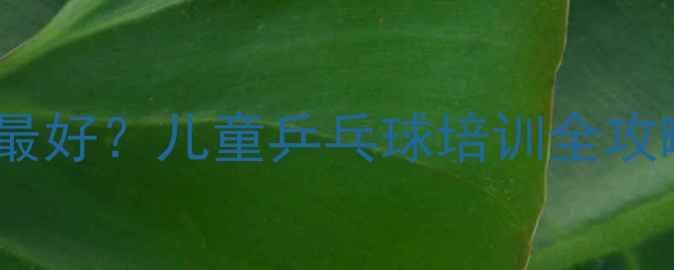 图片 小孩几岁学乒乓球最好？儿童乒乓球培训全攻略（附训练方案）2