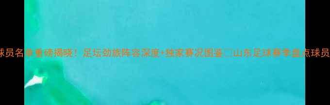 图片 山东球员名单重磅揭晓！足坛劲旅阵容深度+独家赛况图鉴🏆山东足球赛季盘点球员名单1