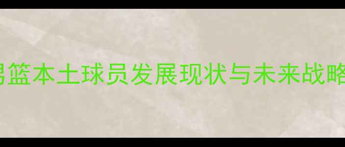 图片 山东男篮本土球员发展现状与未来战略深度2