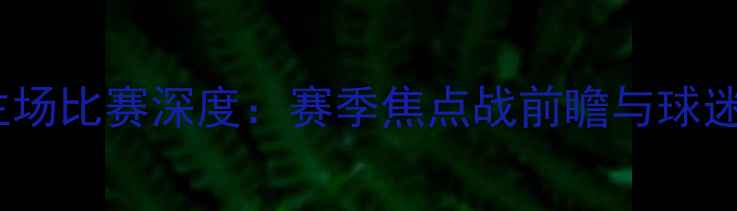 图片 山东鲁能主场比赛深度：赛季焦点战前瞻与球迷必看看点1