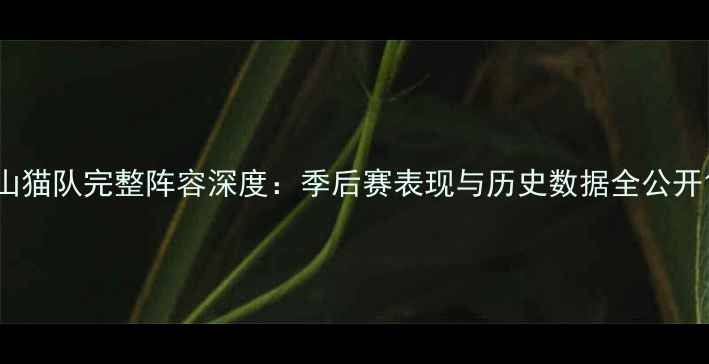 图片 山猫队完整阵容深度：季后赛表现与历史数据全公开1