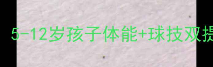 图片 山西乒乓球培训首选太原金鑫体校：5-12岁孩子体能+球技双提升，专业教练团队+科学课程体系1