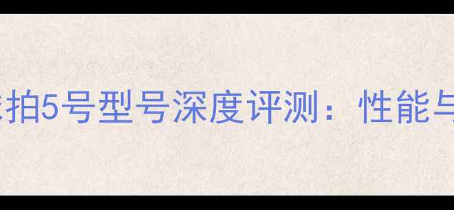 图片 川崎羽毛球拍5号型号深度评测：性能与选购指南1