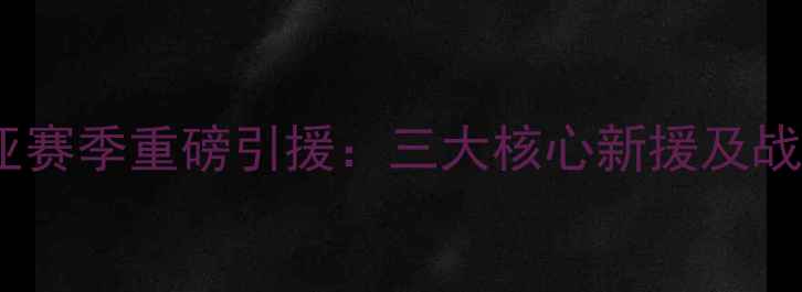 图片 巴伦西亚赛季重磅引援：三大核心新援及战术影响2