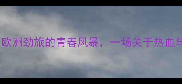 图片 年轻人VS本菲卡：欧洲劲旅的青春风暴，一场关于热血与梦想的足球盛宴2